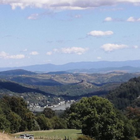 L'Auvergnate Chambon-sur-Lac Bagian luar foto